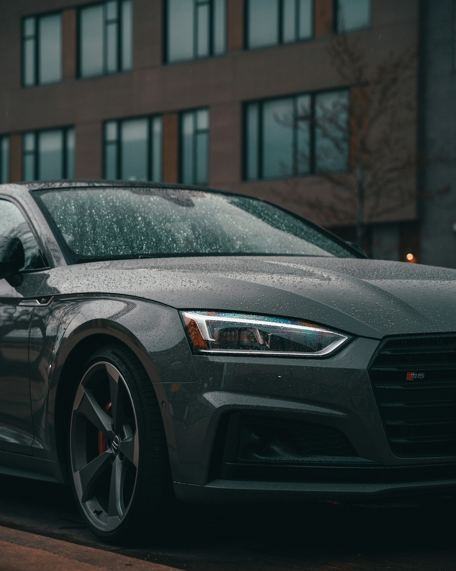 How to Perfect Action Shots